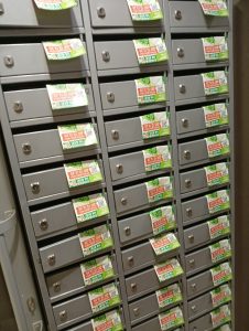 photo_5321318189322931696_y